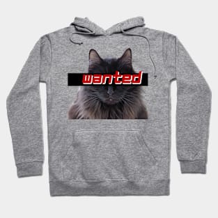 Wanted black cat Hoodie